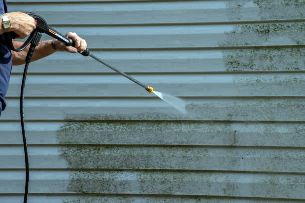 Best Gutter Cleaning  in Benavides, TX